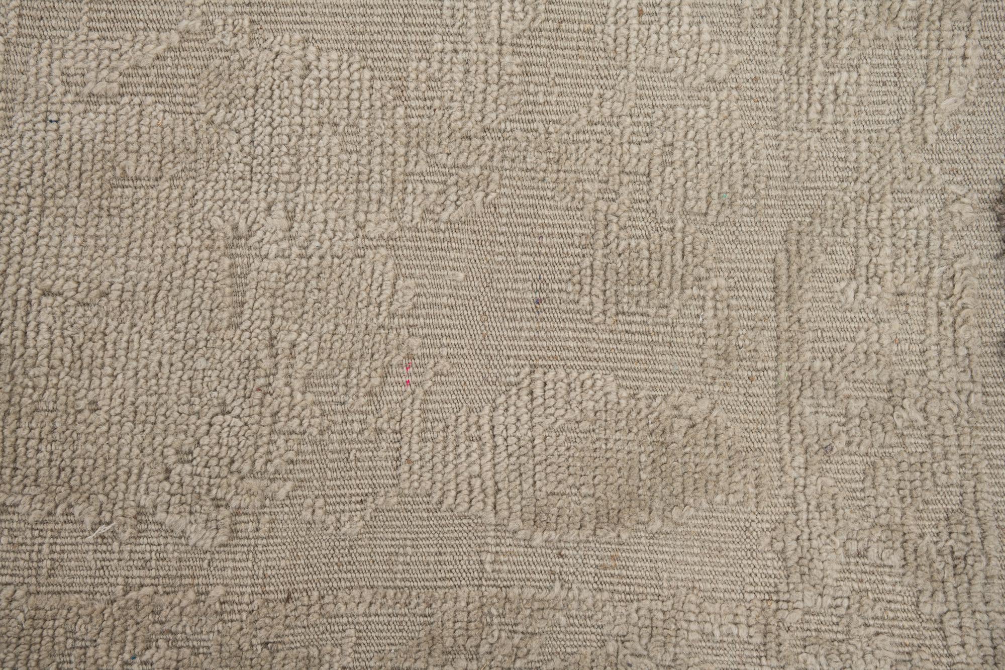 9' 8 x 13' 8 Hand Knotted Darya Wool Rug