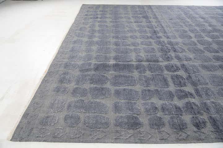 10' 2 x 14' 5 Hand Knotted Darya Wool Rug