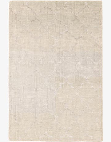 4' x 6' Hand Knotted Darya Rug