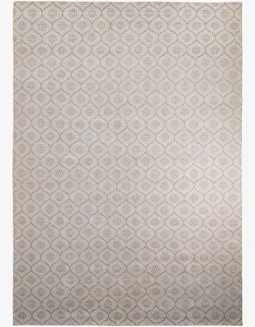 9' 8 x 13' 9 Hand Knotted Darya Wool Rug