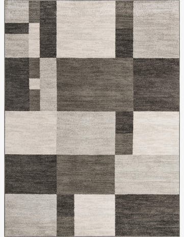 Gray Equinox Rug