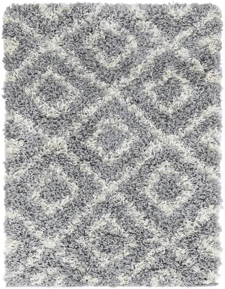 Detail image of 2' x 3' Lattice Shag Rug