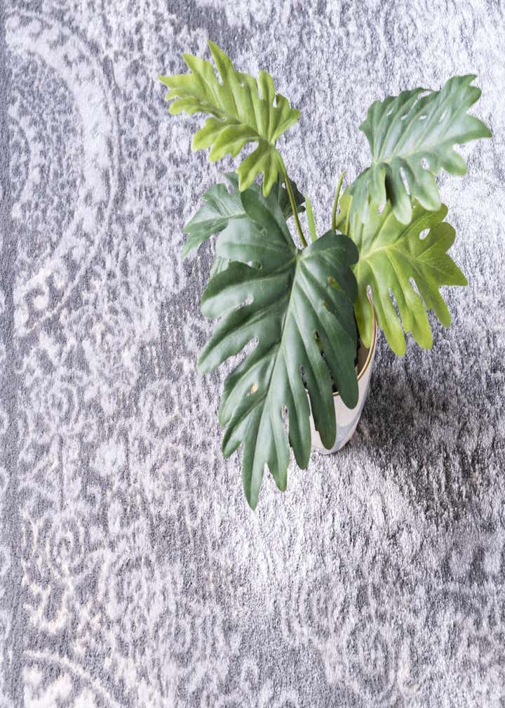 9' 10 x 13' Legacy Rug