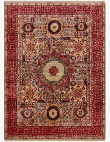 5' x 6' 8 Hand Knotted Mamluk Ziegler Rug