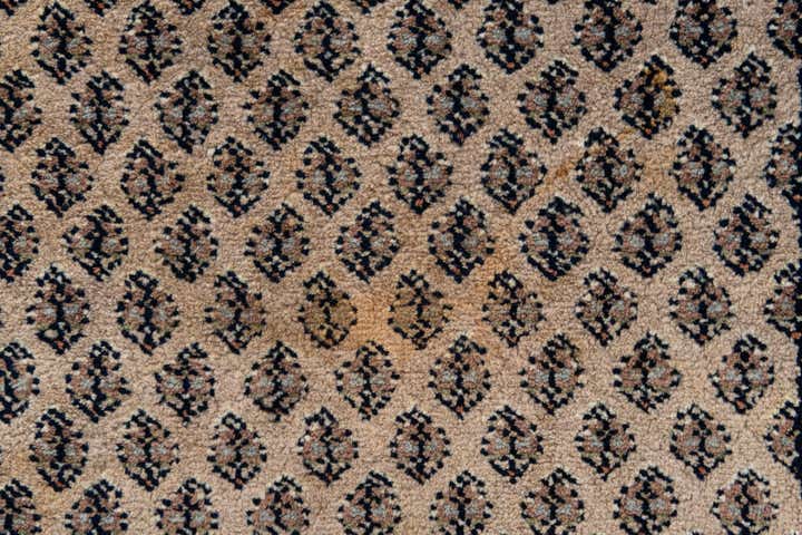 5' 9 x 7' 8 Hand Knotted Mir Wool Rug
