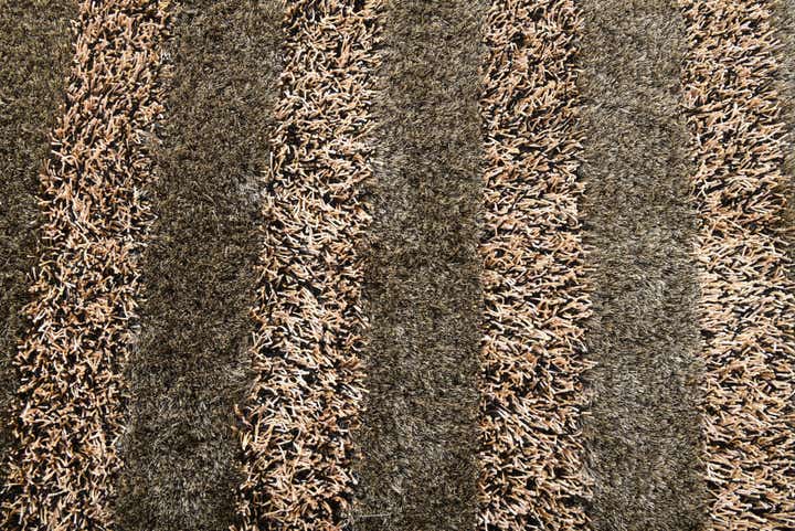 5' x 6' 7 Hand Knotted Multi-Tone Shag Rug