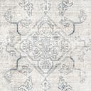 Rug Gray Swatch link