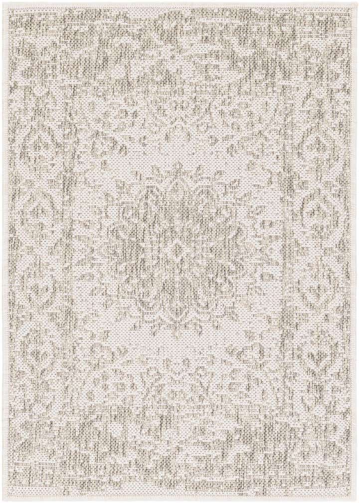 2' x 3' Easy-Clean Traditional Indoor / Outdoor Rug