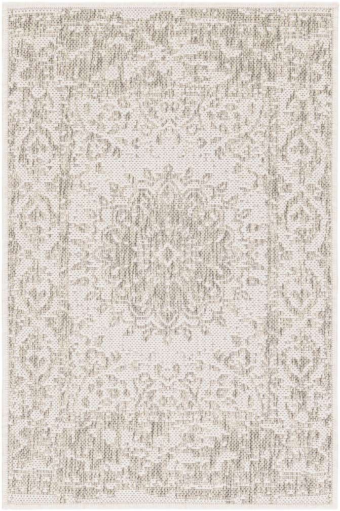 2' x 3' Easy-Clean Traditional Indoor / Outdoor Rug