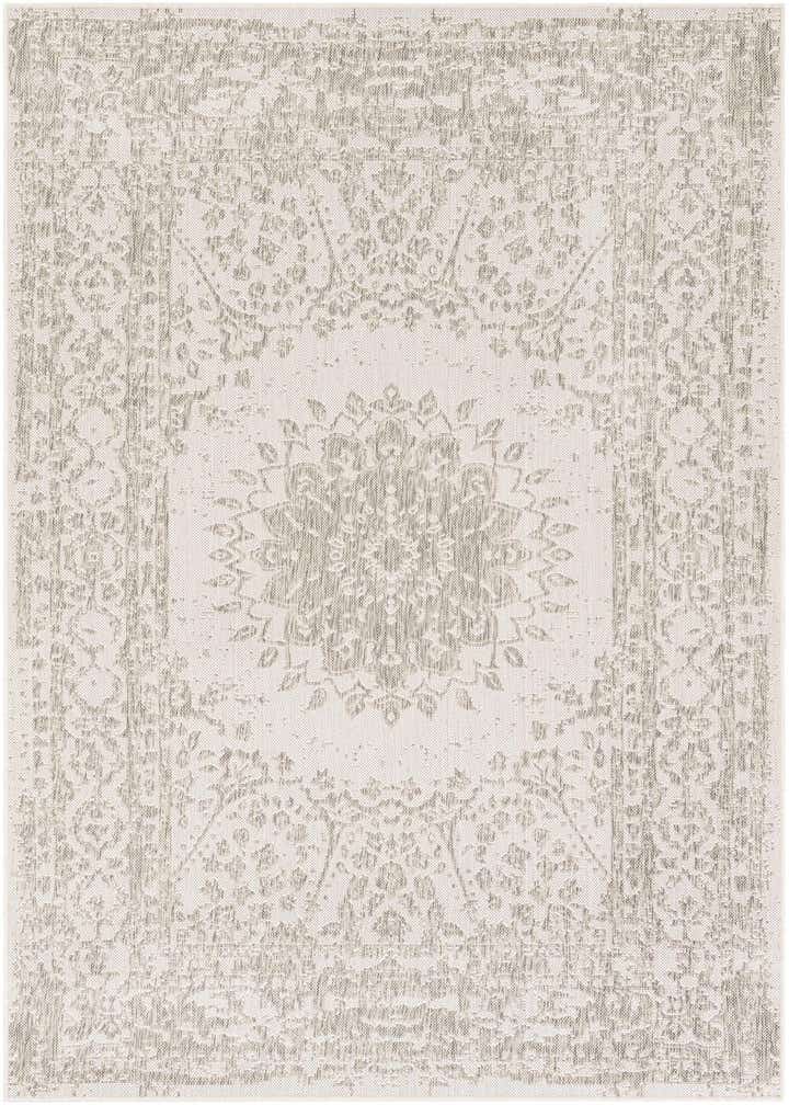 5' 3 x 8' Easy-Clean Traditional Indoor / Outdoor Rug