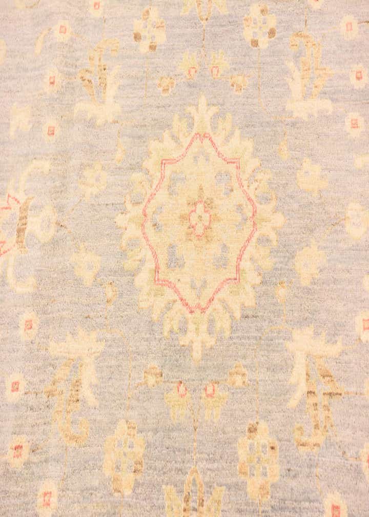 8' 4 x 11' 4 Hand Knotted Peshawar Ziegler Rug
