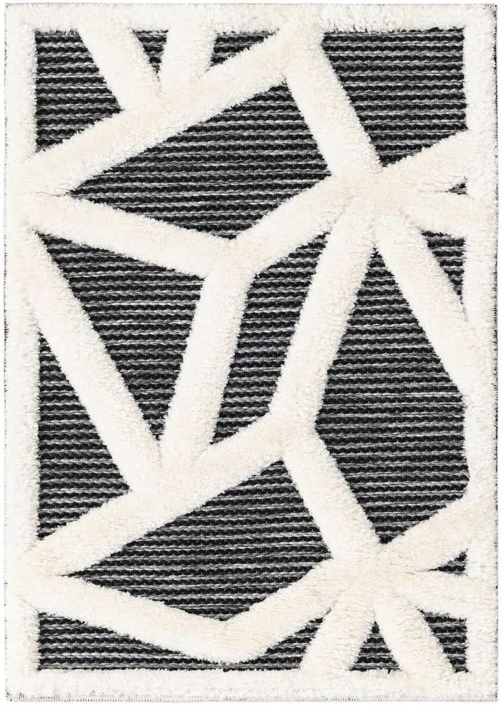 2' x 3' Prismatic Rug