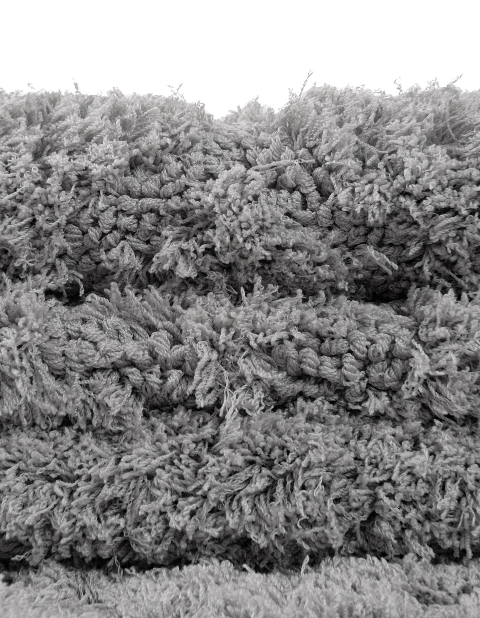4' x 6' Trellis Shag Rug