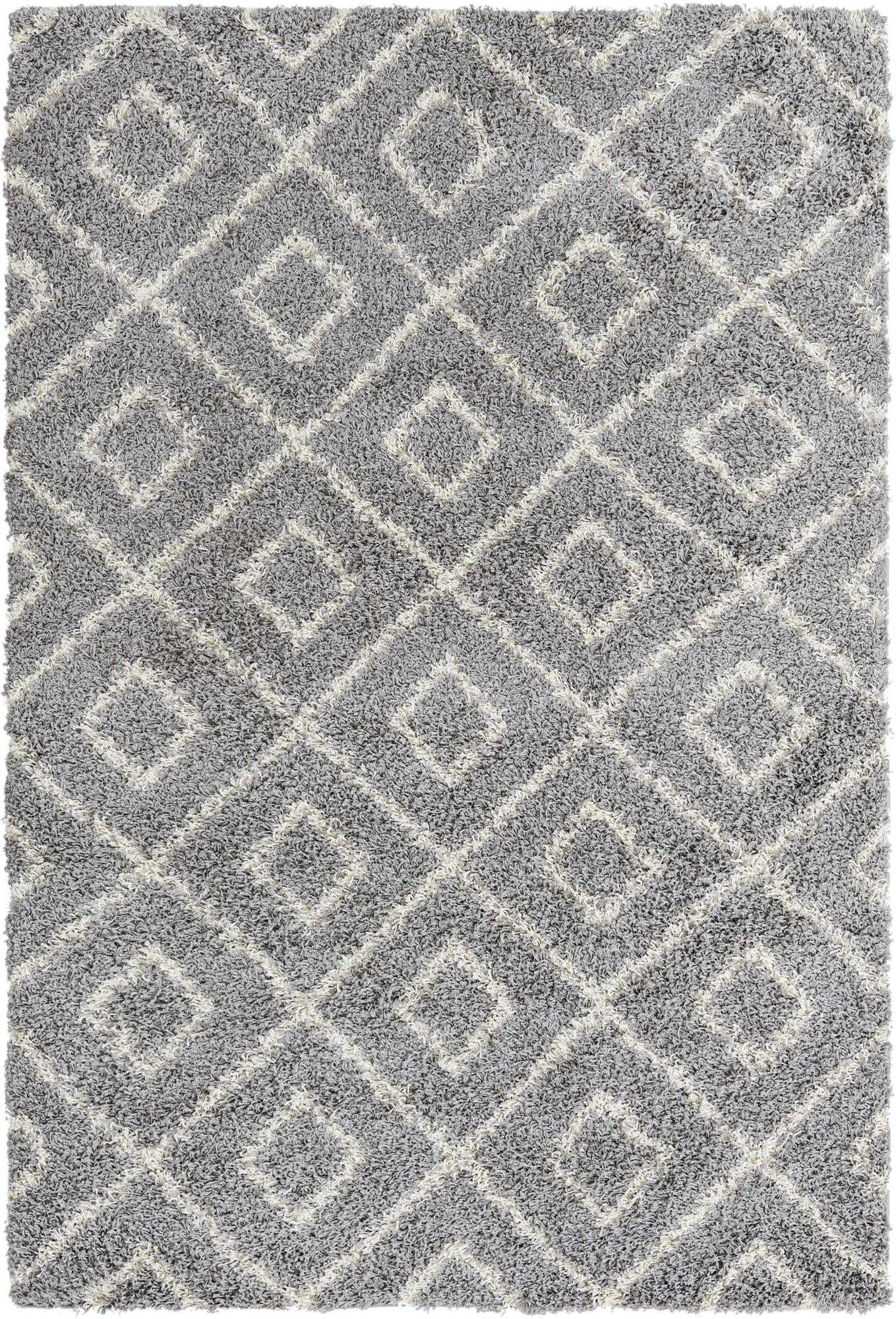 5' 3 x 8' Trellis Shag Rug
