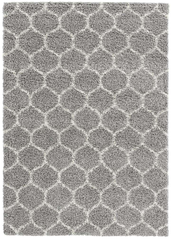 6' x 9' Trellis Shag Rug