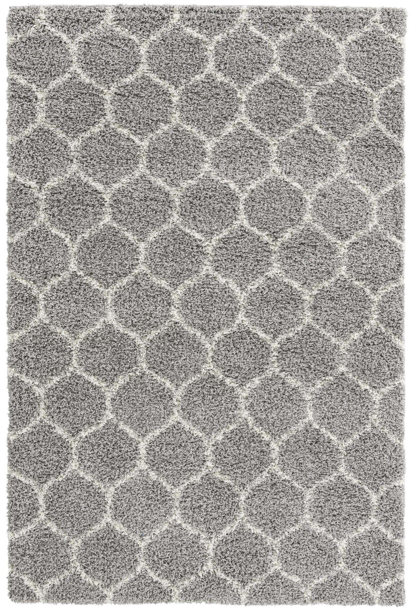 6' x 9' Trellis Shag Rug