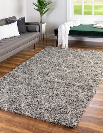 6' x 9' Trellis Shag Rug