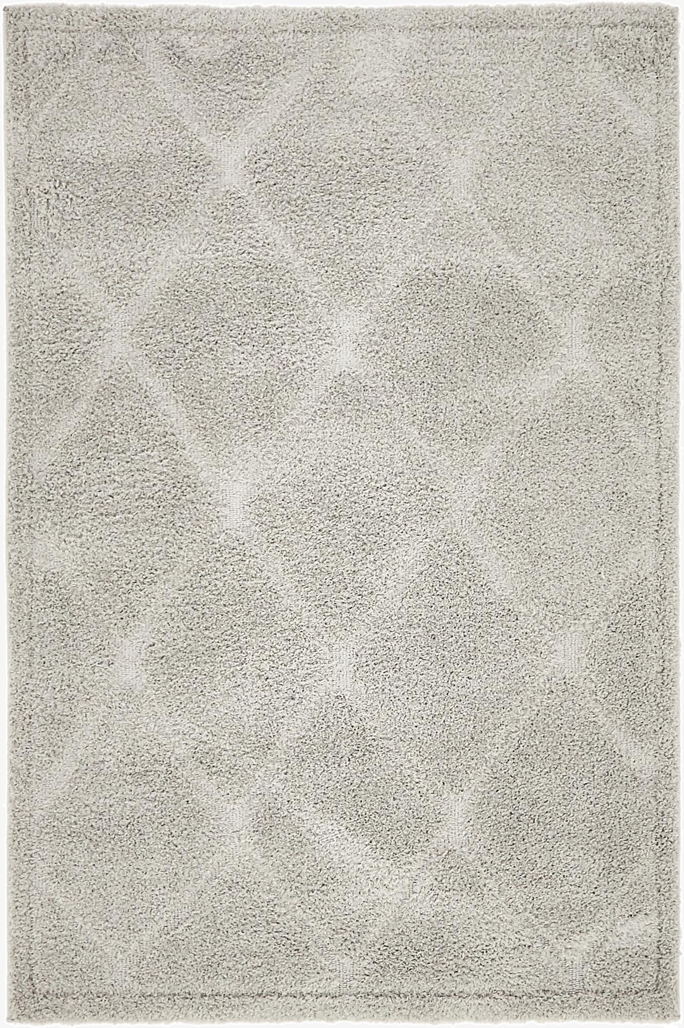 Primary image 4' x 6' Trellis Shag Rug