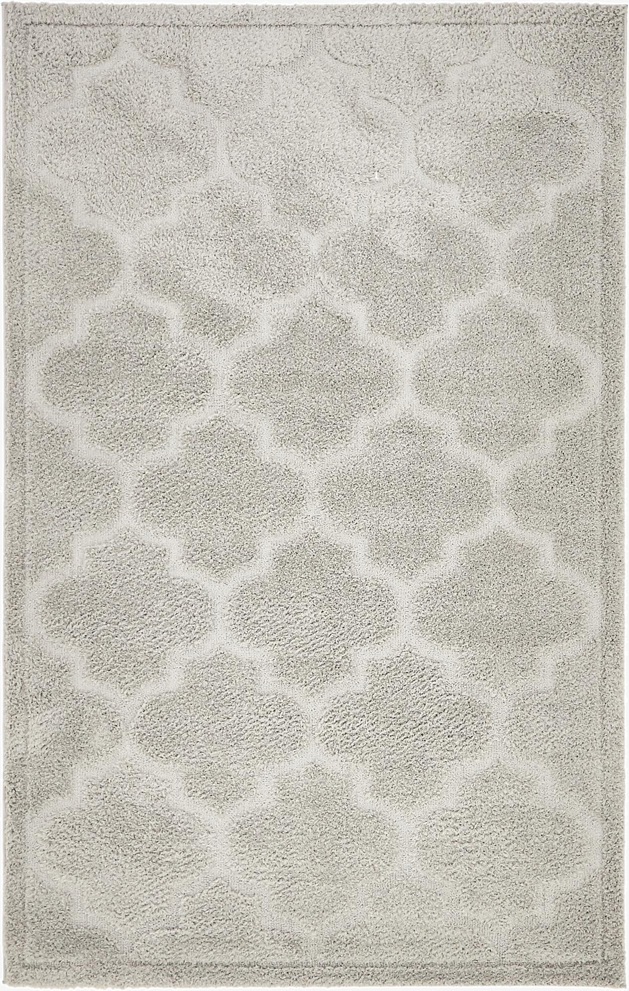 5' x 8' Trellis Shag Rug
