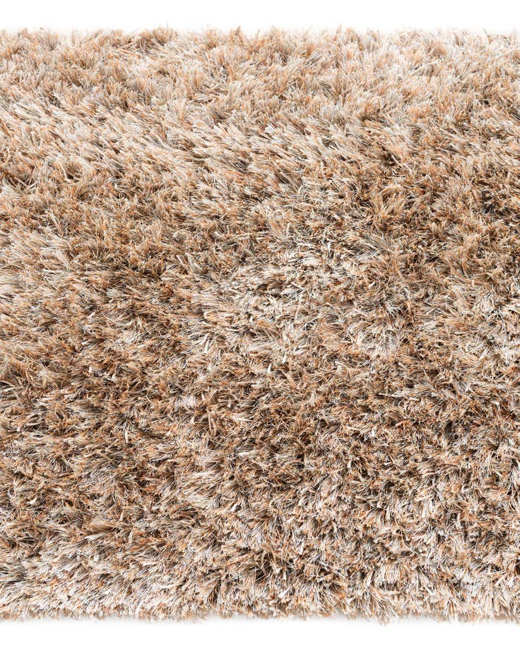 Detail image of 3' 2 x 5' 6 Two-Tone Shag Rug