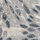 Color variant