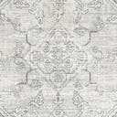 Rug Gray Swatch link