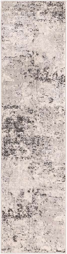 2' x 8' Leipzig Runner Rug