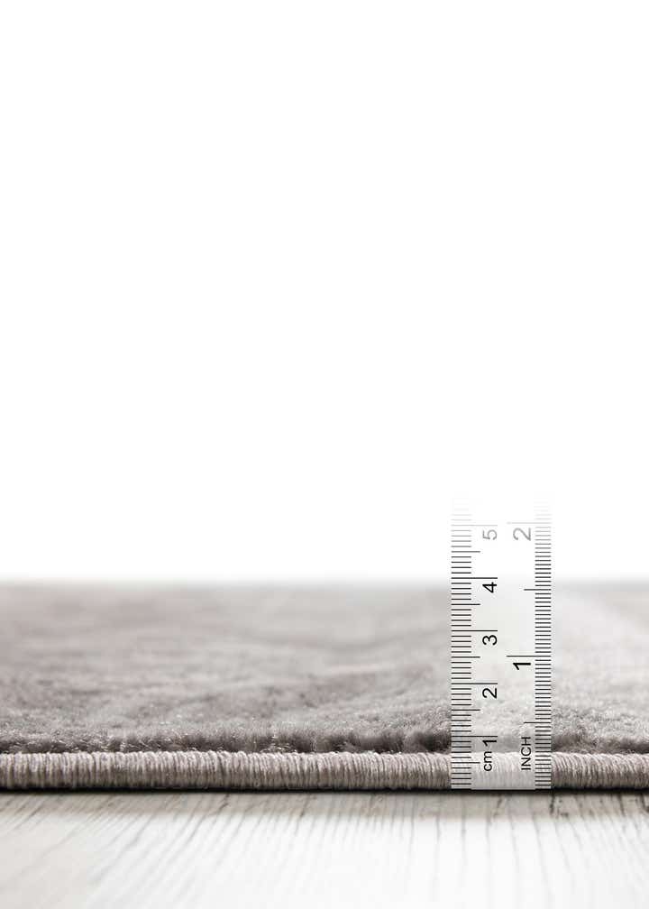 2' 7 x 10' Oregon Runner Rug