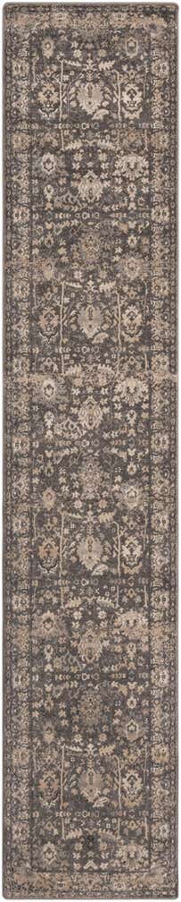 3' 3 x 16' 5 Oregon Runner Rug