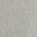 Rug Gray Swatch link