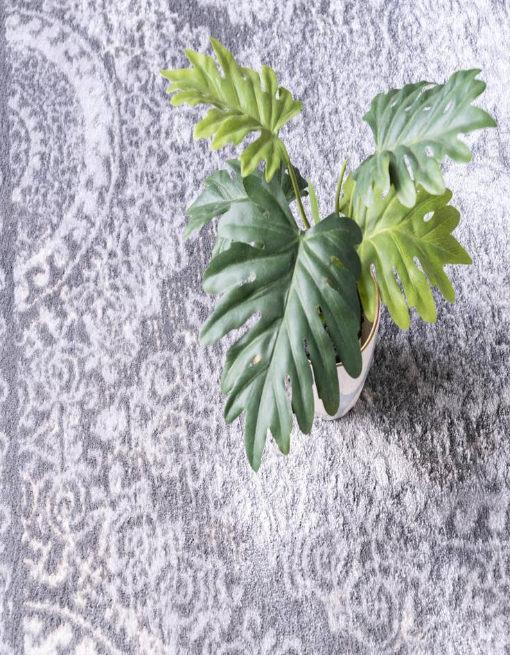 Detail image of 7' 10 x 7' 10 Legacy Square Rug