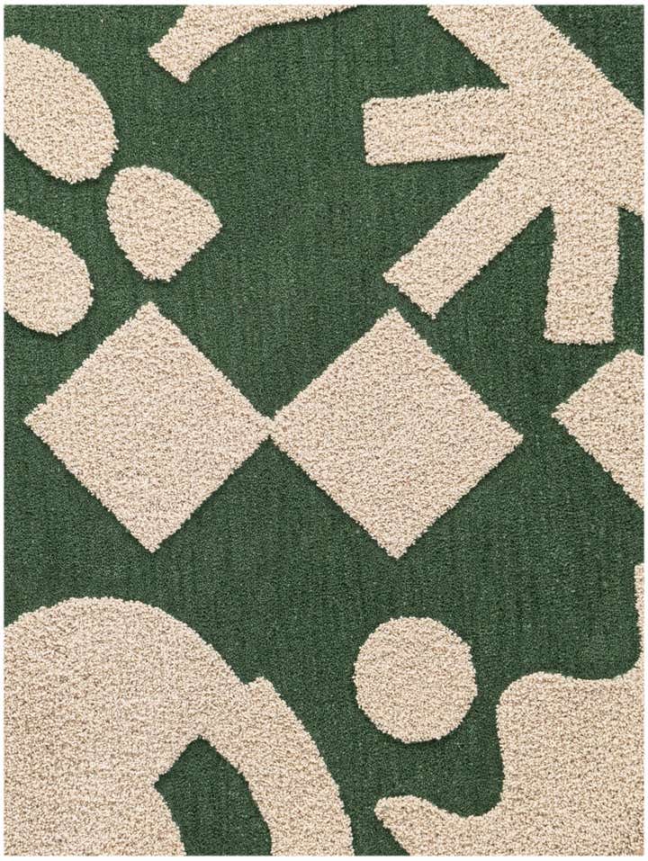 3' 3 x 5' 3 Handtufted Wool Rug