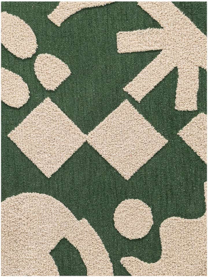 4' 1 x 6' 1 Handtufted Wool Rug