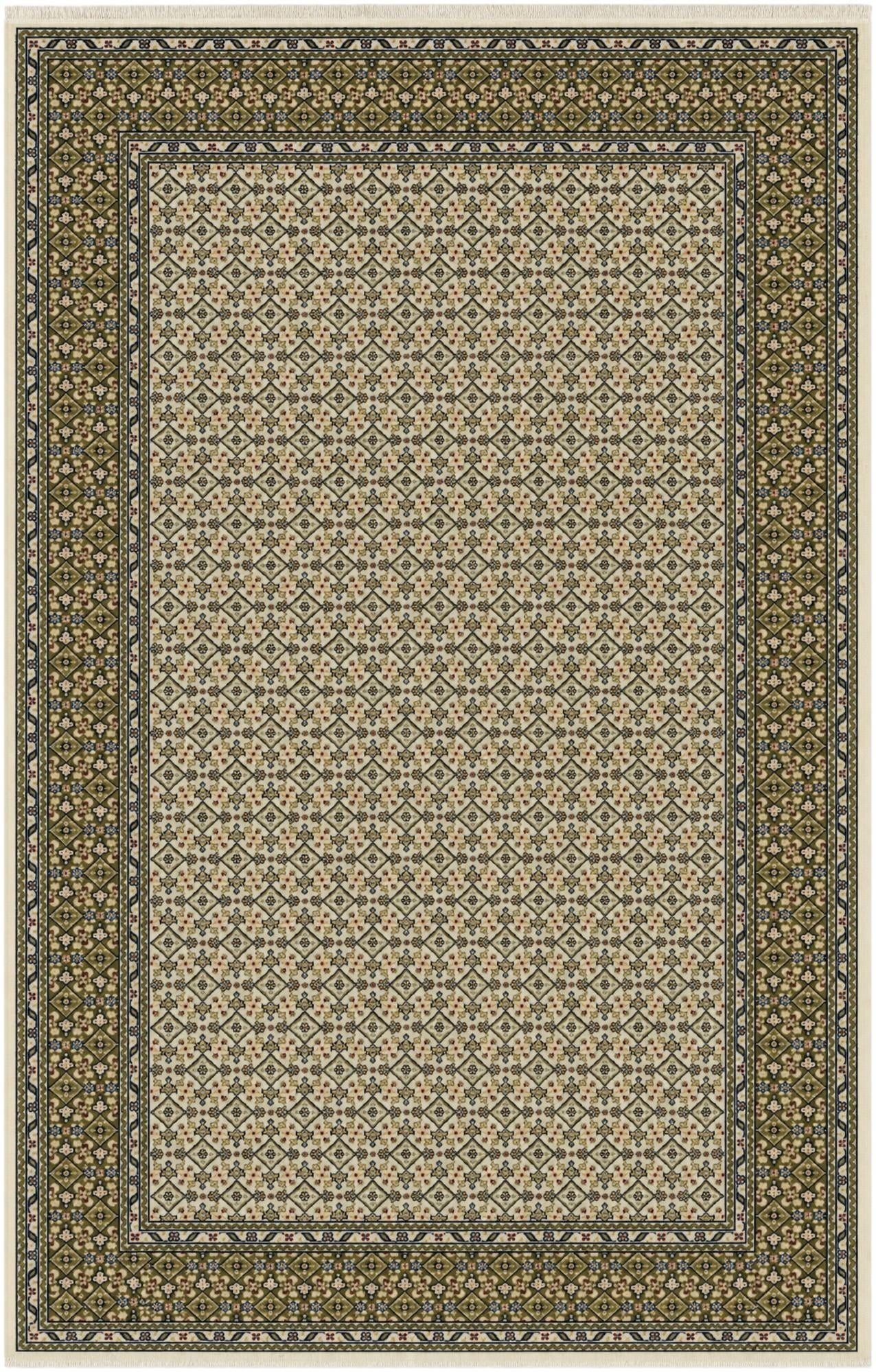 5' 3 x 8' Nain Design Rug