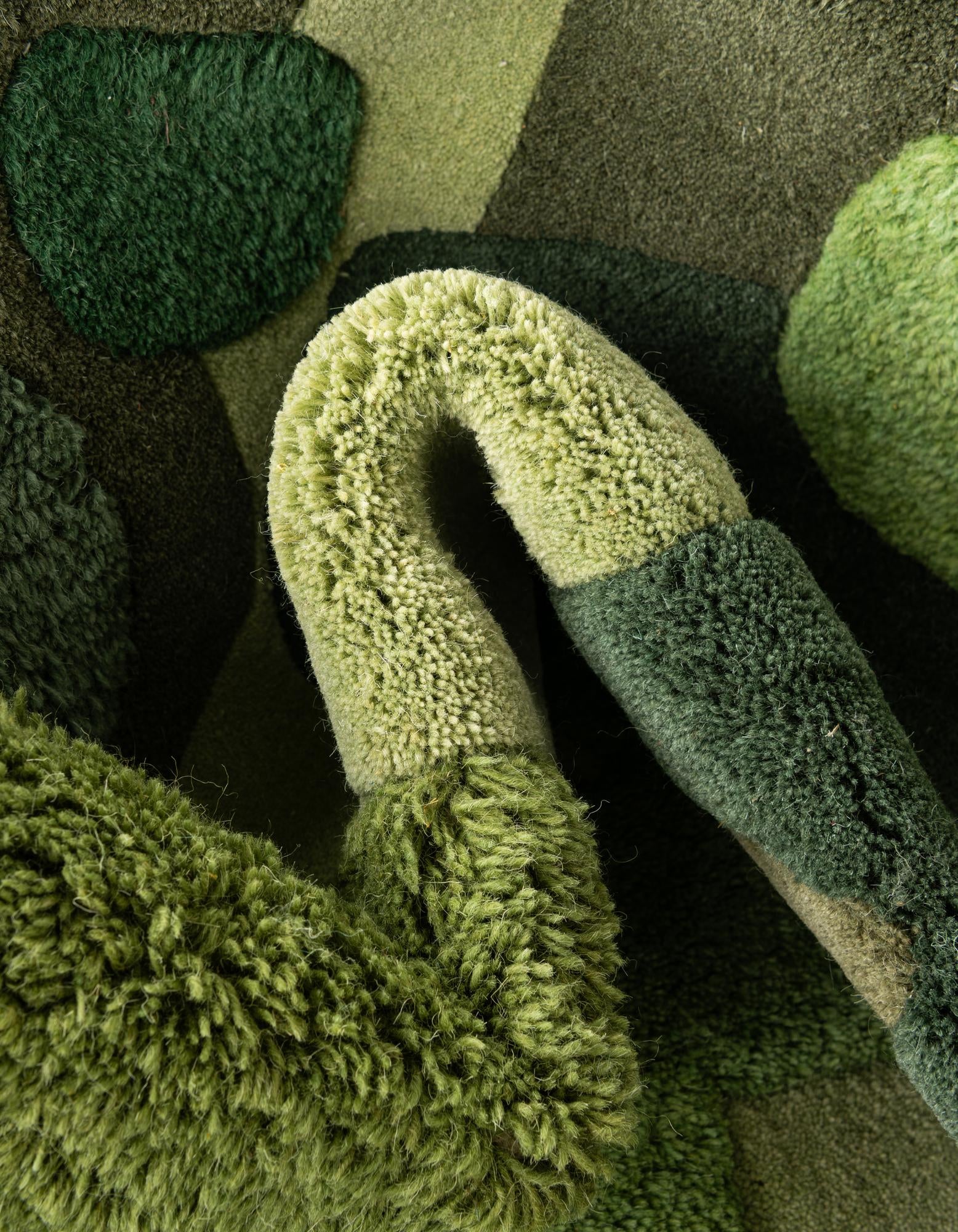 5' 1 x 7' 1 Moss Garden Freeform Rug