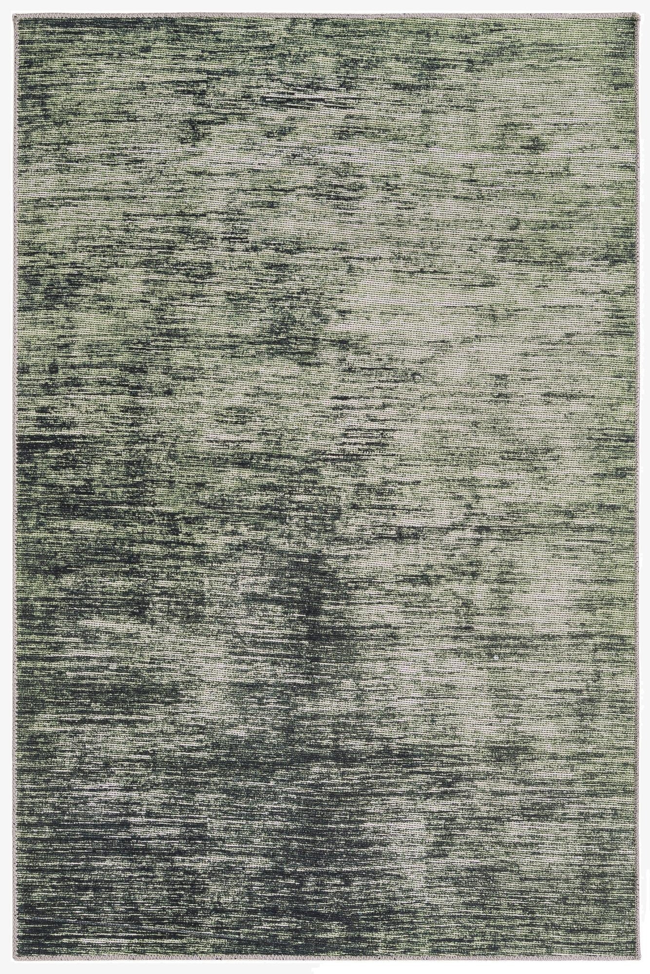 4' x 6' Asha Rug