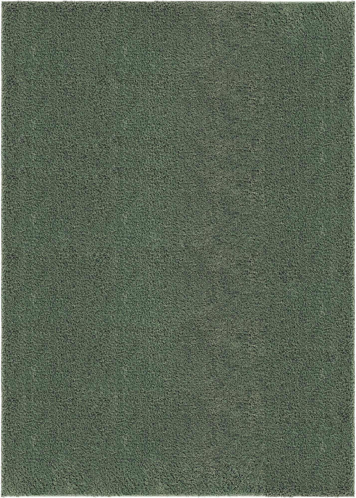 10' x 14' Everyday Shag Rug