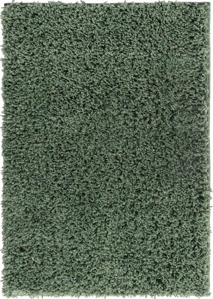 2' 2 x 3' Everyday Shag Rug