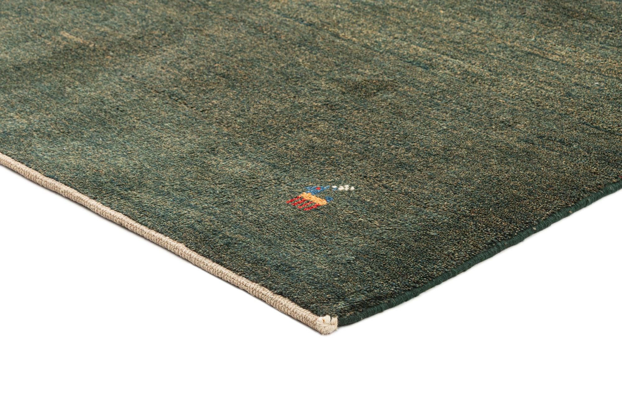 4' 9 x 6' 5 Gabbeh Shouli Rug