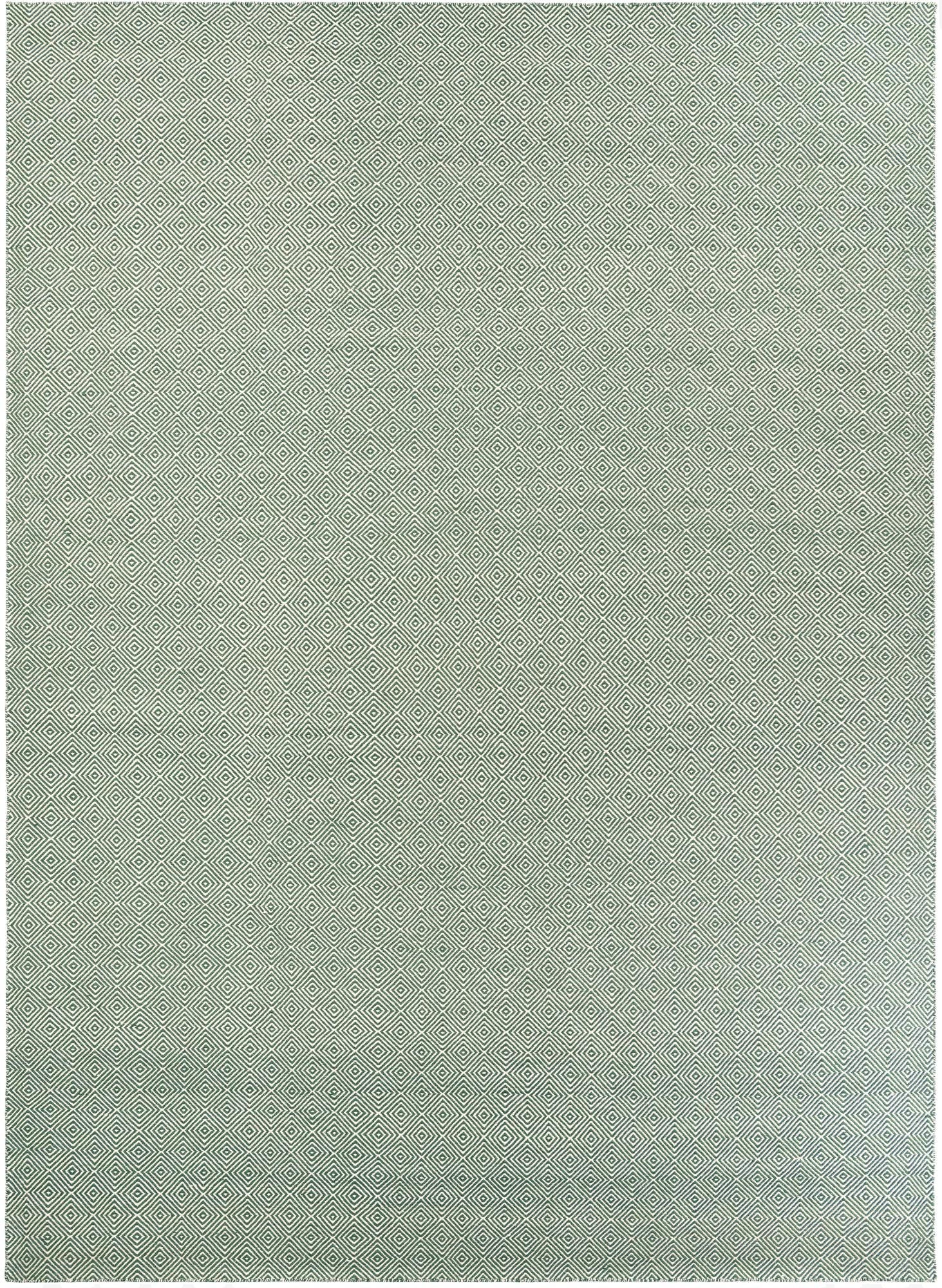 10' x 14' 1  Hand Woven Geo Trellis Flatweave Rug