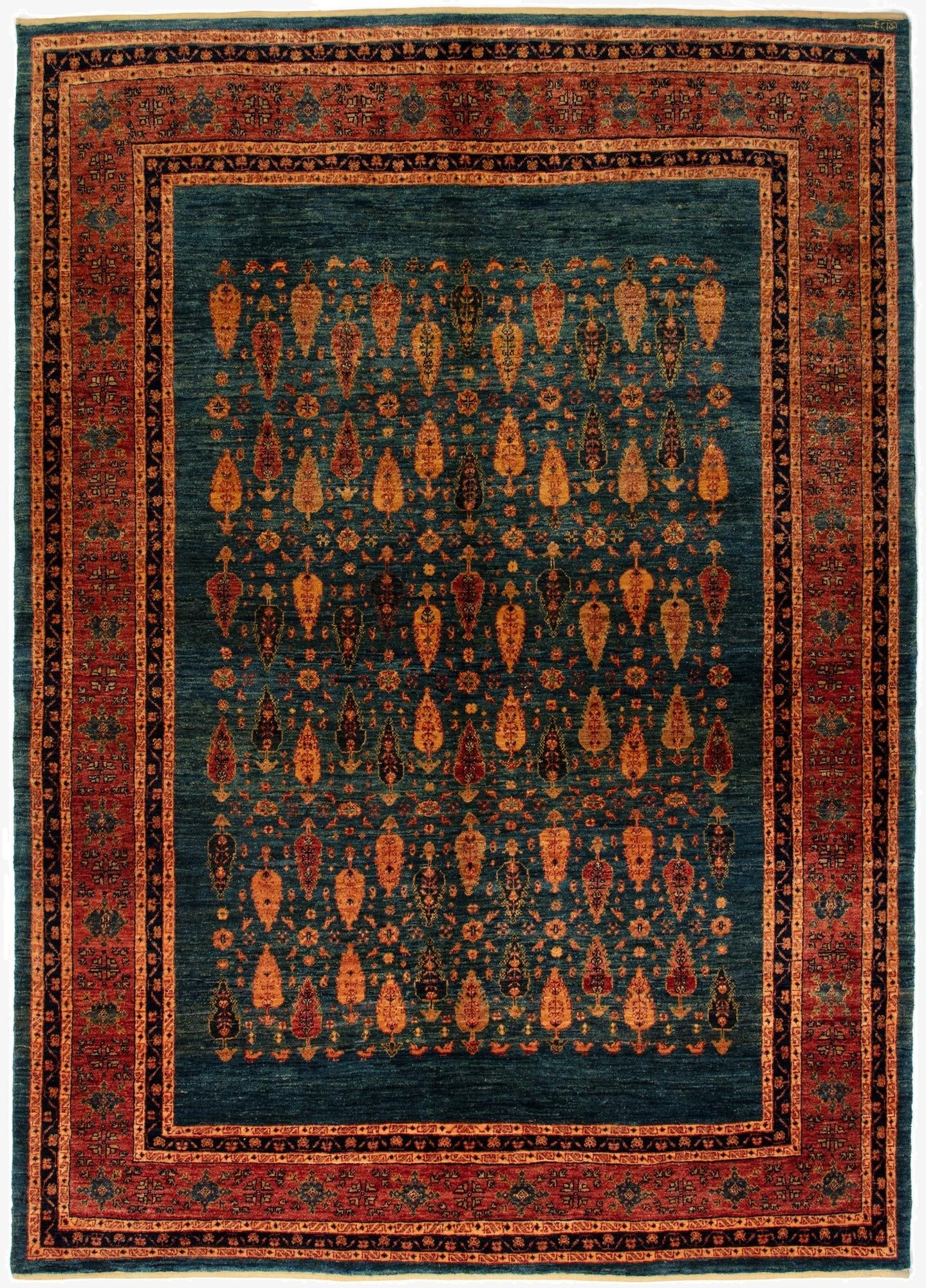 5' 9 x 8' Kashkuli Rug