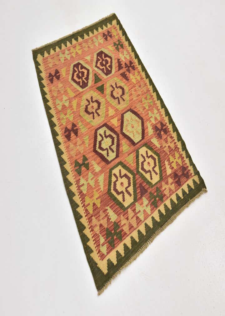 2' 10 x 4' 2 Hand Woven Kilim Waziri Wool Rug