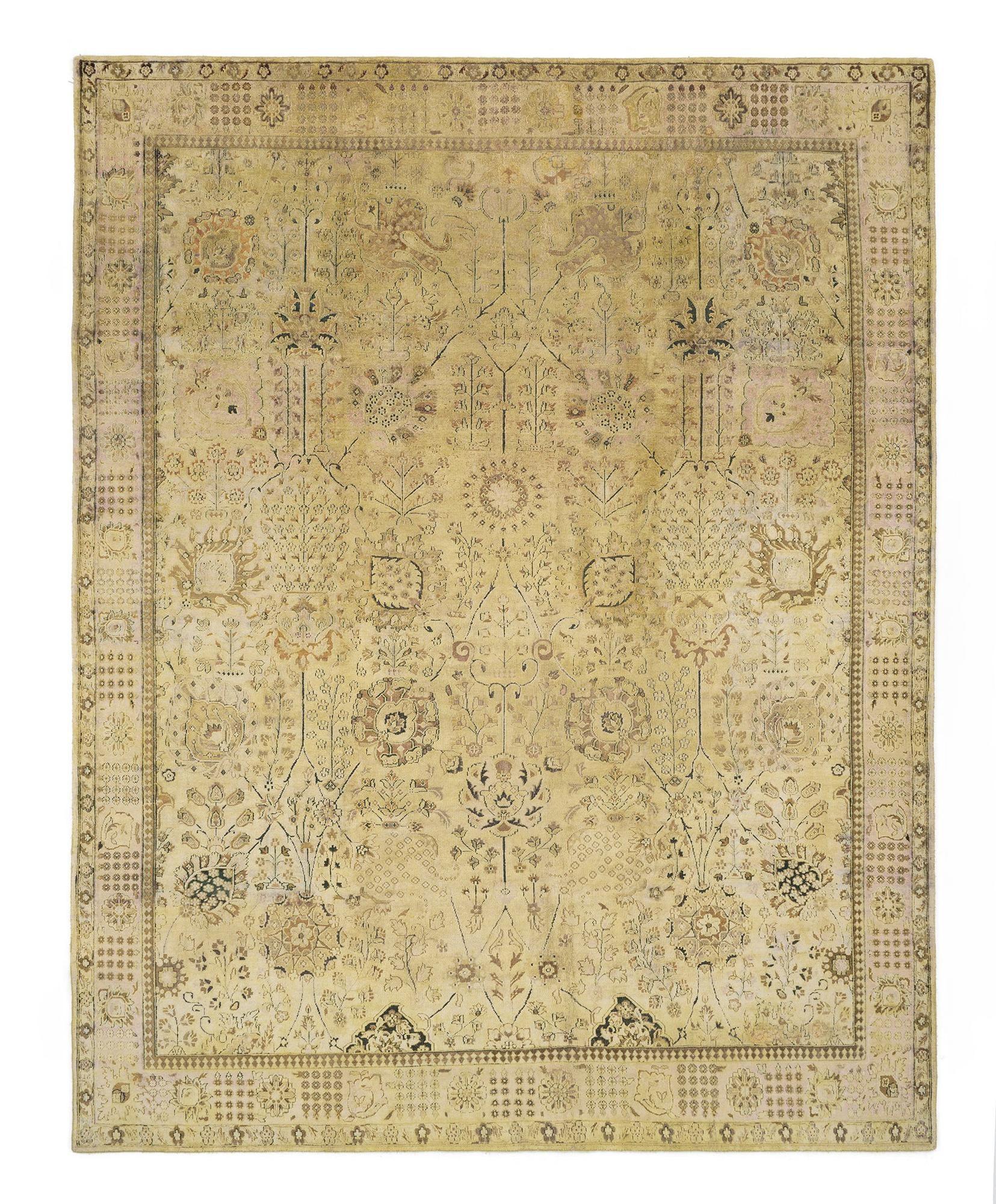 7' 11 x 10' 1 Kundan Oxod Rug