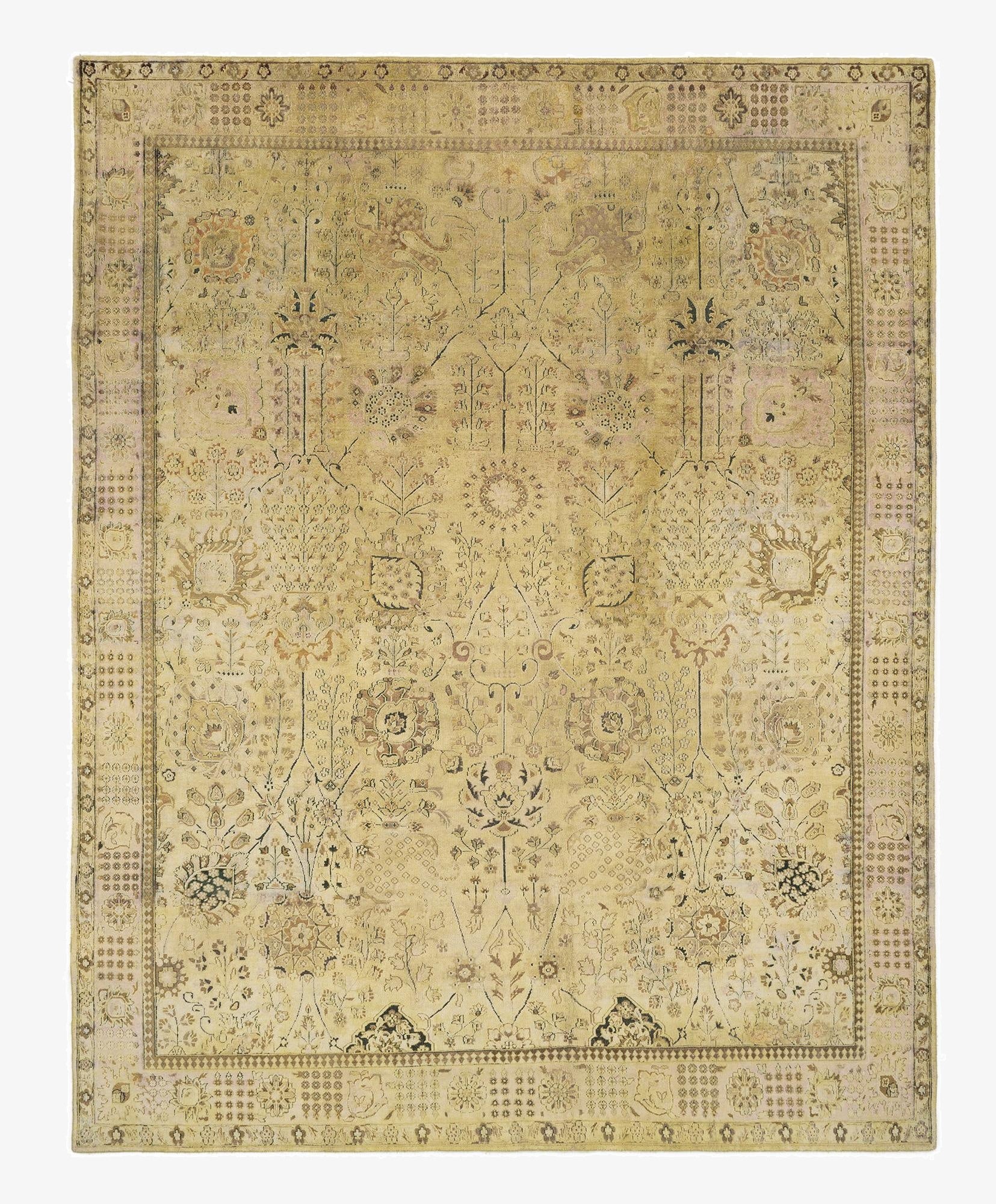 7' 11 x 10' 1 Kundan Oxod Rug