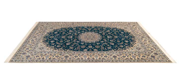 6' 9 x 10' 2 Nain Rug