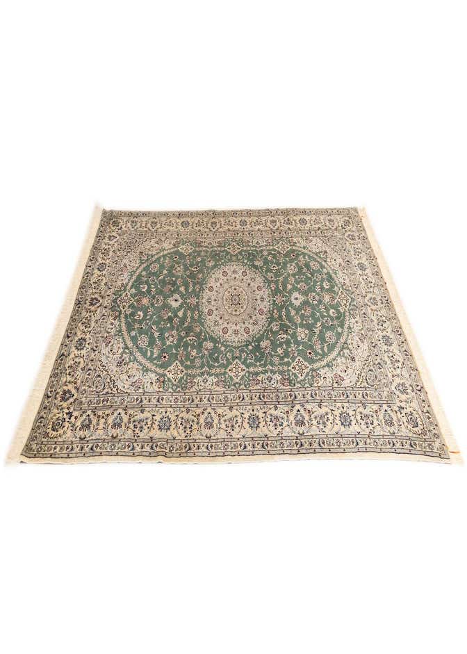 6' 8 x 10' 2 Nain Rug