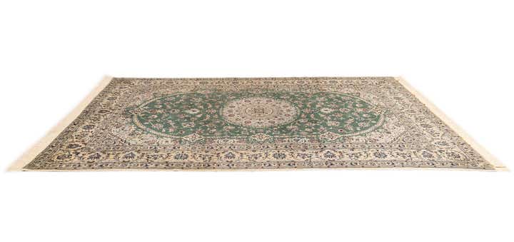 6' 8 x 10' 2 Nain Rug
