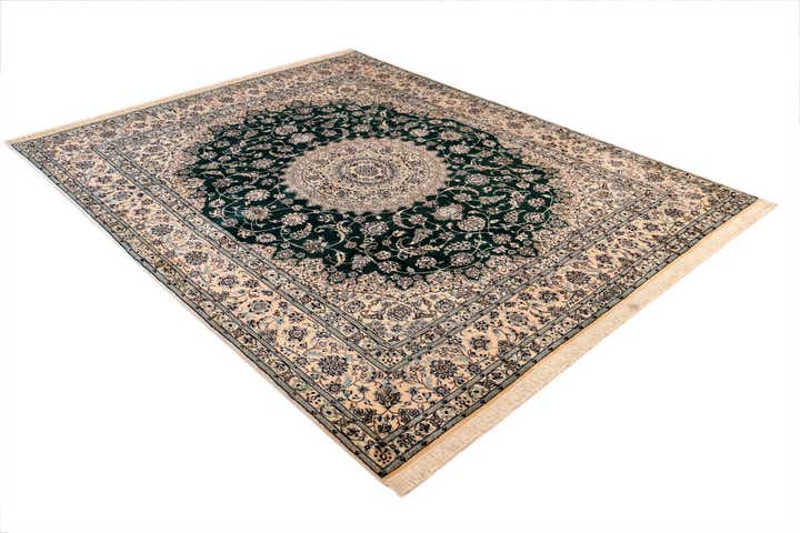 6' 10 x 8' 5 Nain Rug