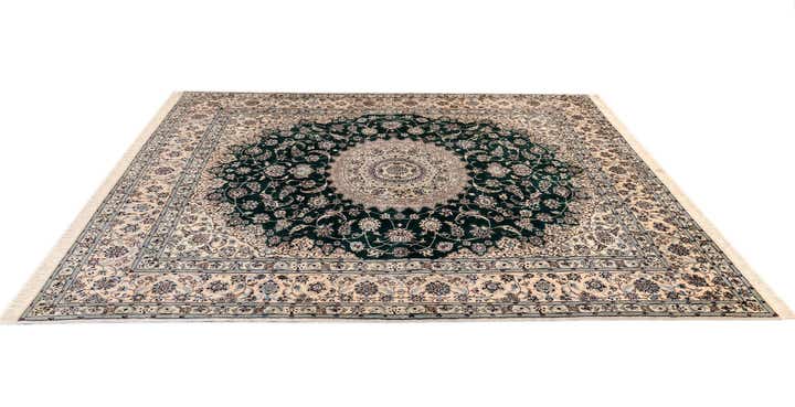6' 10 x 8' 5 Nain Rug