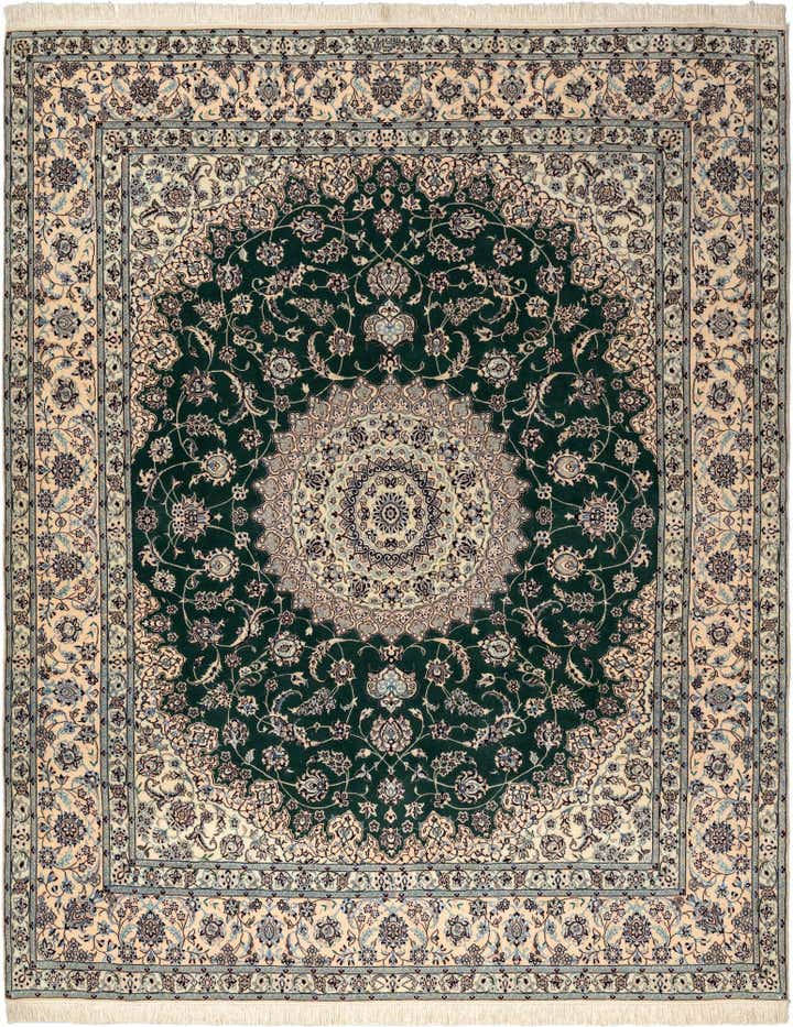 6' 10 x 8' 5 Nain Rug